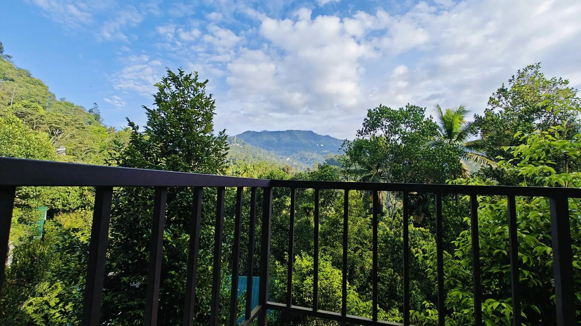Homestay Luna Munnar Anachal
