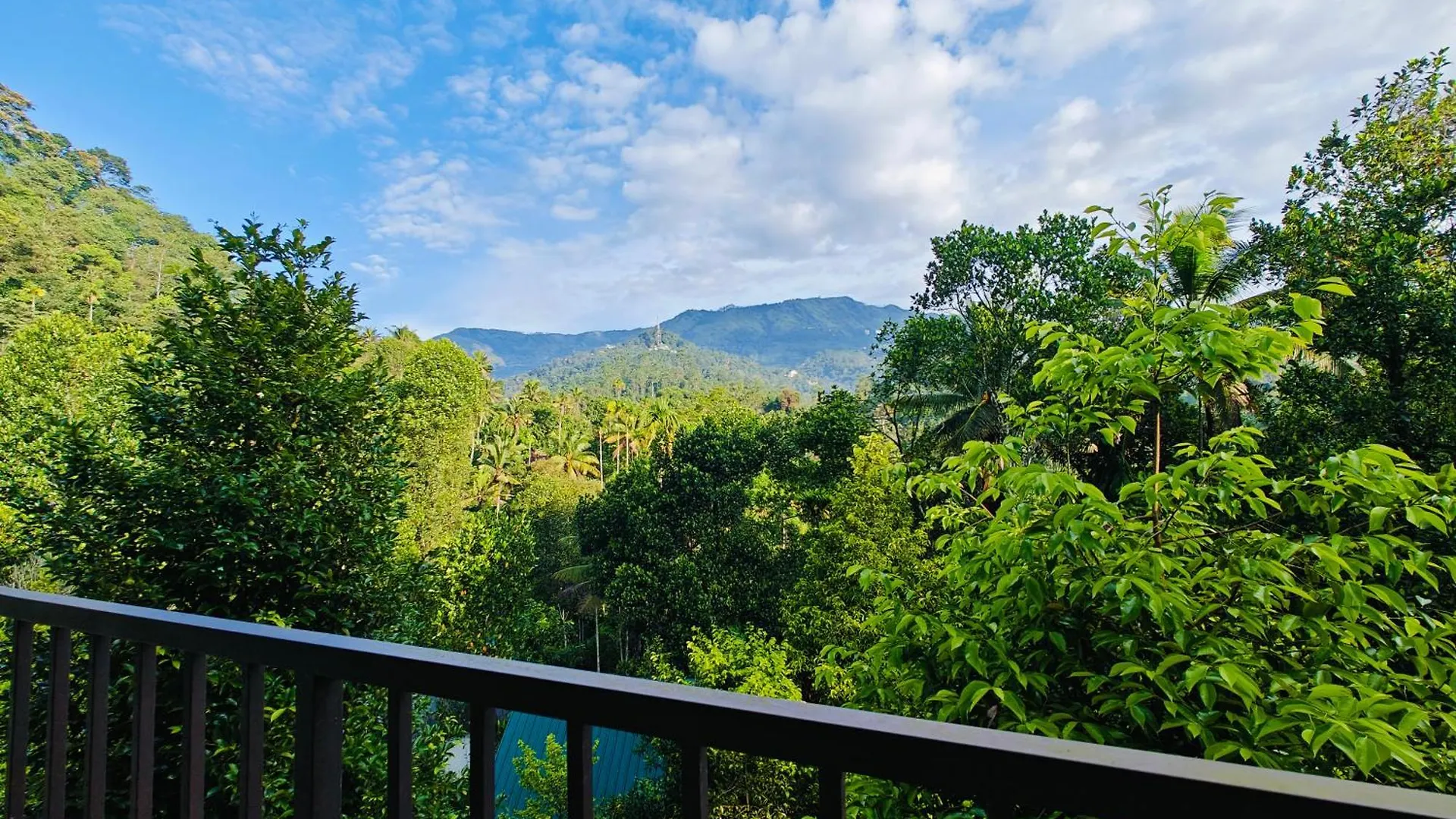 Homestay Luna Munnar Anachal India