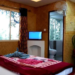 Summer Dew Guest house