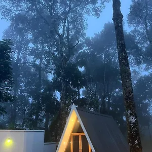 Roots Munnar Resort
